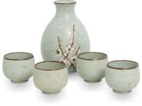 HANA LICHTGROEN SAKESET 5PCS