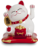 LUCKY CAT SOLAR