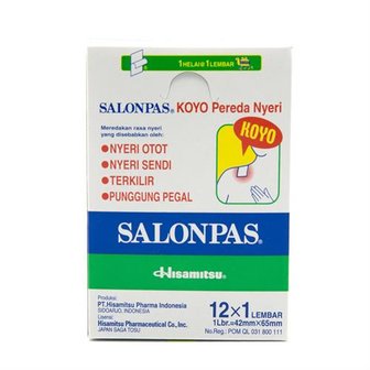 SALONPAS PLEISTER