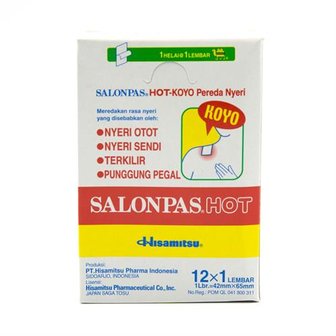 SALONPAS PLEISTER HOT