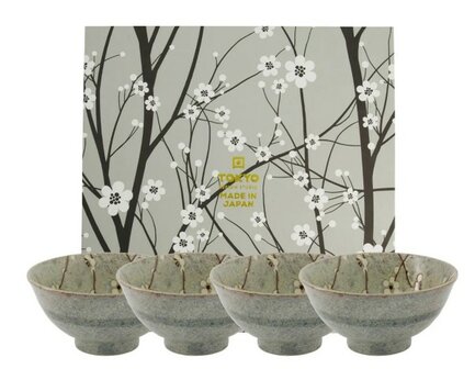 TOKYO DESIGN STUDIO -GREY SOSHUN BOWL GIFTSET 4PCS 16X8CM 600ML