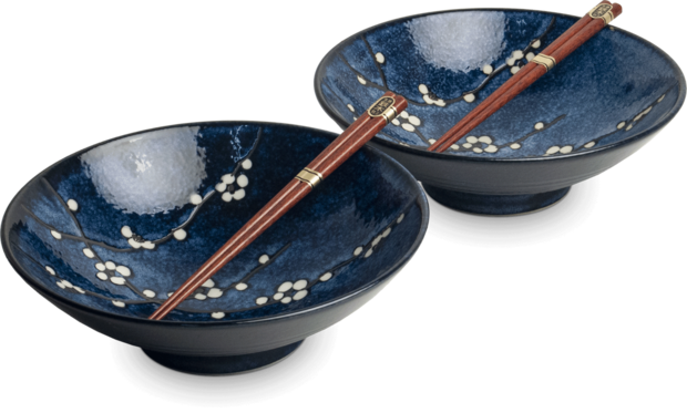 EDO JAPAN - JAPANSE SCHALENSET - HANA BLAUW O/24,5 CM|H7,5 CM